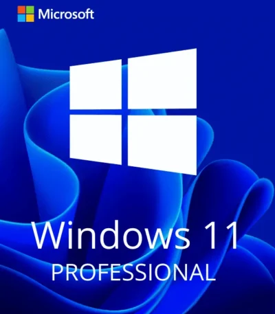 Windows 11 Pro